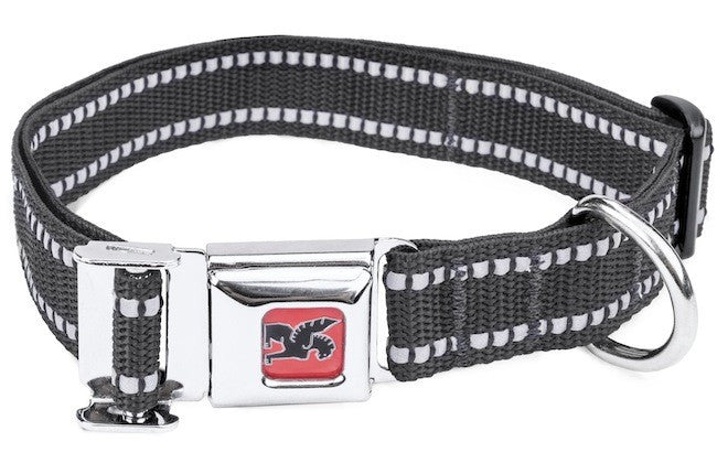 Chrome dog collar hotsell