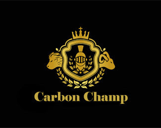 Carbon Champ Matte clean and sealer 100ml